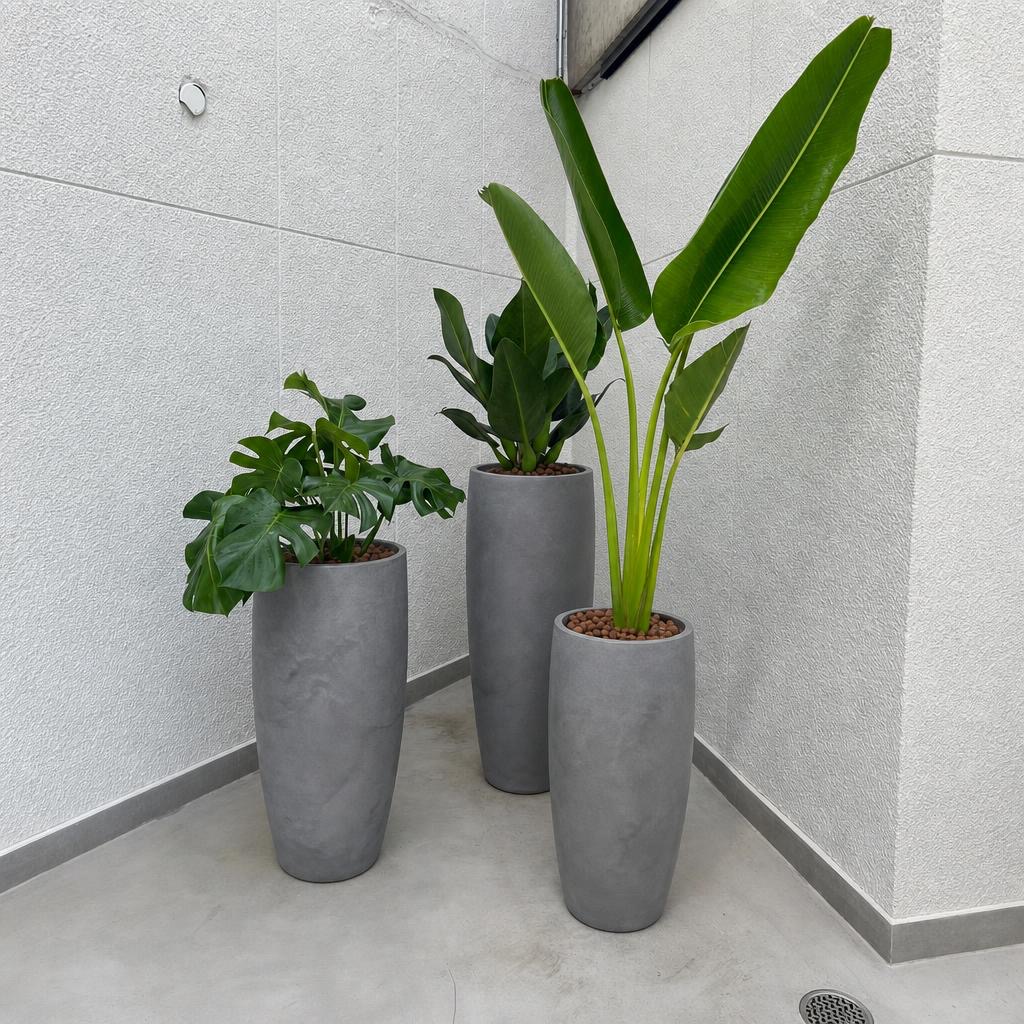 Plantas Naturais